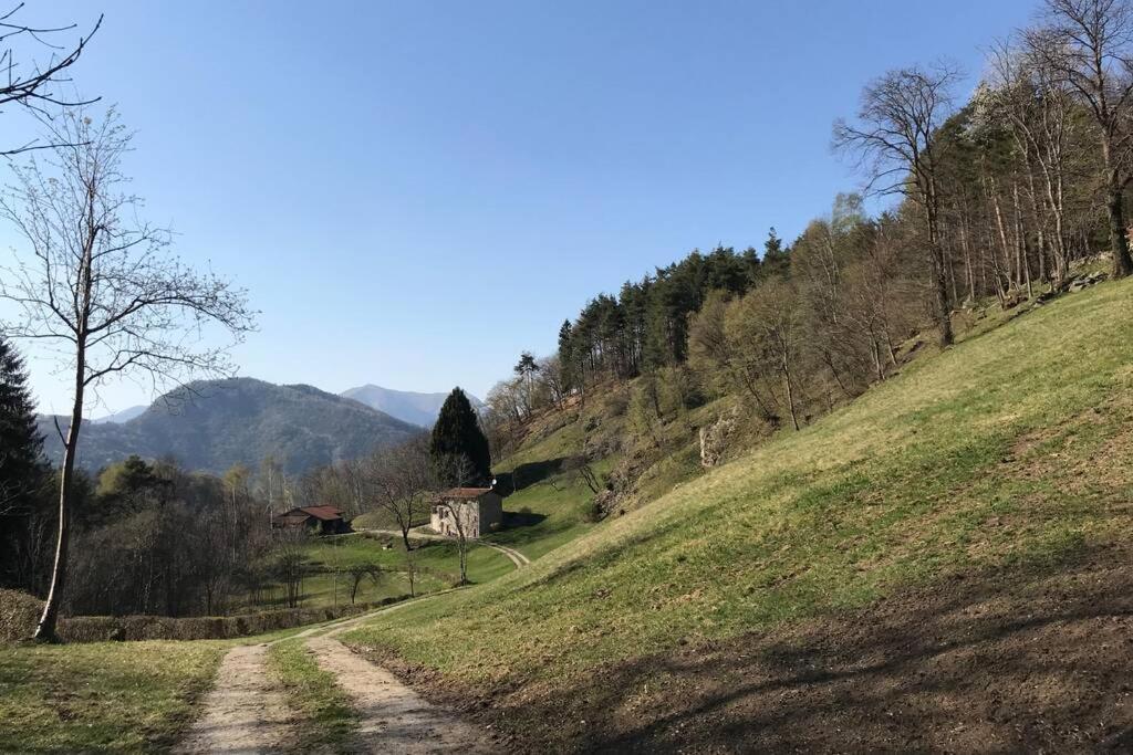 Traditional Villa Bellagio San Primo Lake Como المظهر الخارجي الصورة