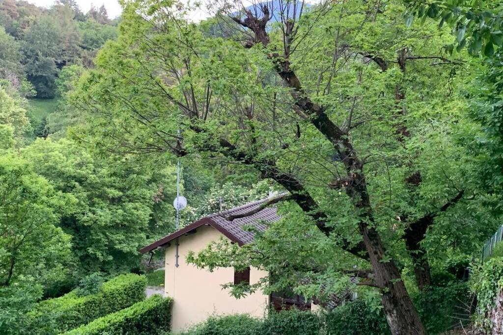 Traditional Villa Bellagio San Primo Lake Como المظهر الخارجي الصورة